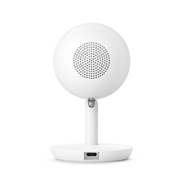 Nest Cam IQ image 418644918316