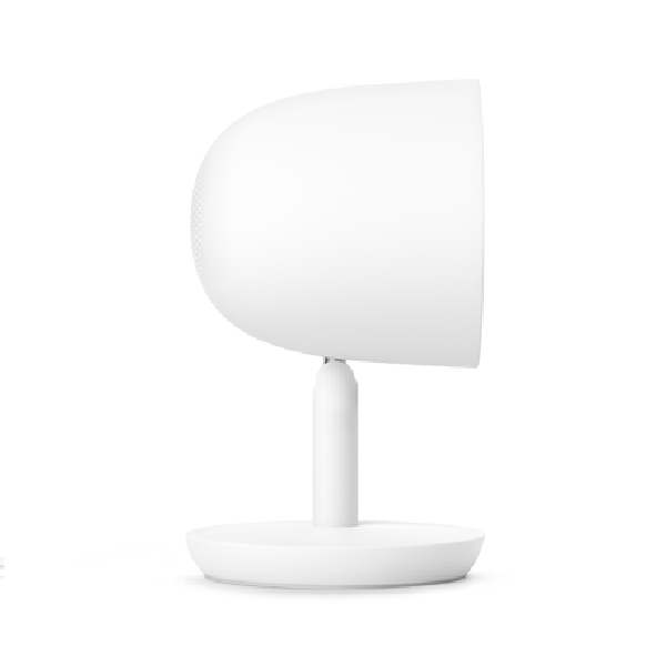 Nest Cam IQ image 418644885548